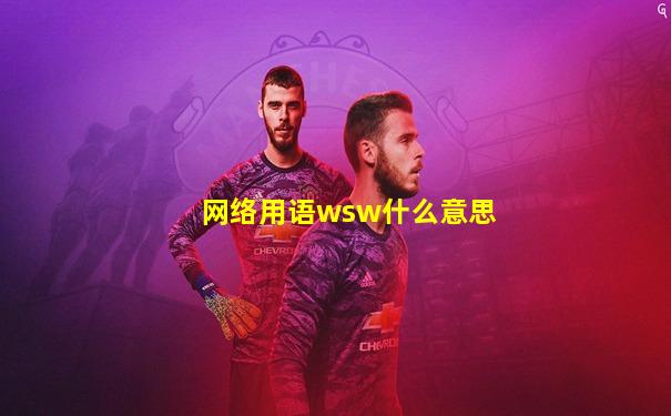 网络用语wsw什么意思