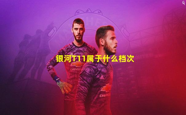 银河T11属于什么档次