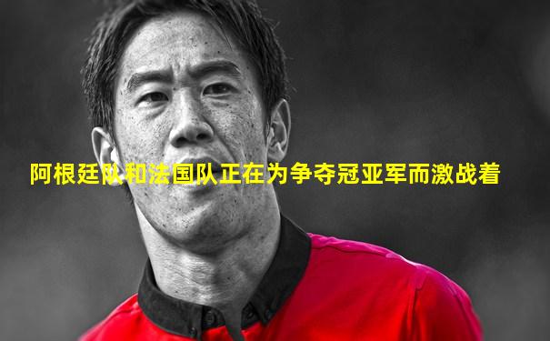 阿根廷队和法国队正在为争夺冠亚军而激战着
