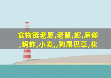食物链老鹰,老鼠,蛇,麻雀,蚂蚱,小麦,,狗尾巴草,花