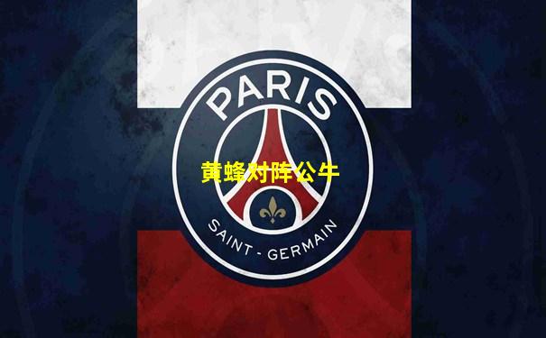 黄蜂对阵公牛